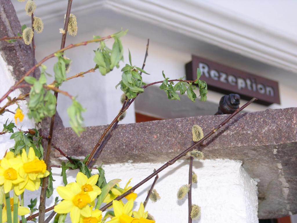Hotel Ferienhaus Fux Oberammergau Bagian luar foto